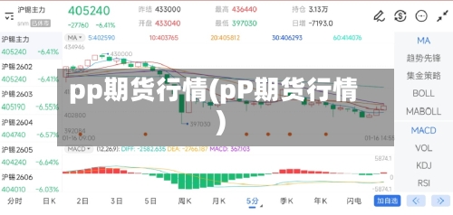 pp期货行情(pP期货行情)