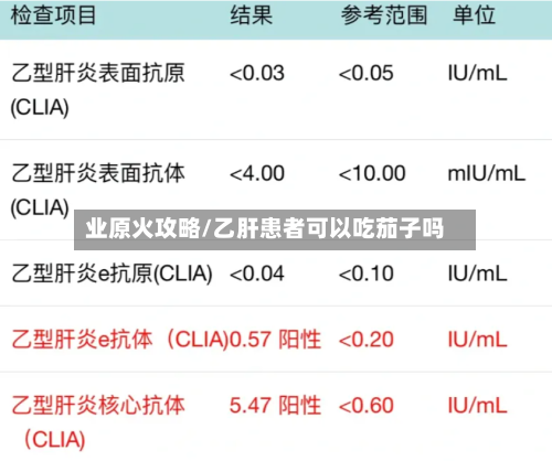 业原火攻略/乙肝患者可以吃茄子吗