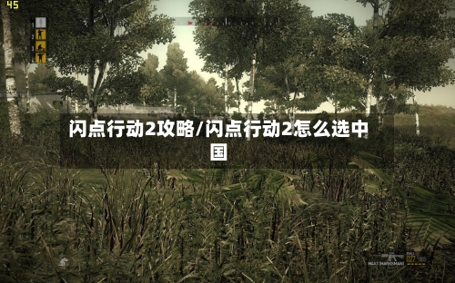 闪点行动2攻略/闪点行动2怎么选中国
