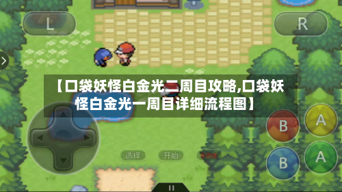 【口袋妖怪白金光二周目攻略,口袋妖怪白金光一周目详细流程图】