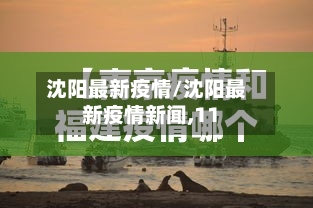 沈阳最新疫情/沈阳最新疫情新闻,11