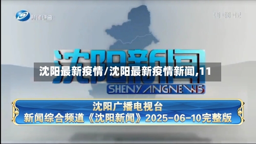 沈阳最新疫情/沈阳最新疫情新闻,11-第2张图片