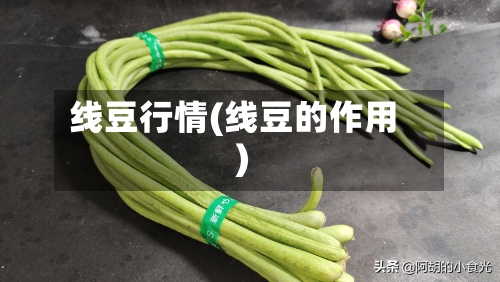 线豆行情(线豆的作用)-第2张图片