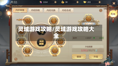 灵域游戏攻略/灵域游戏攻略大全
