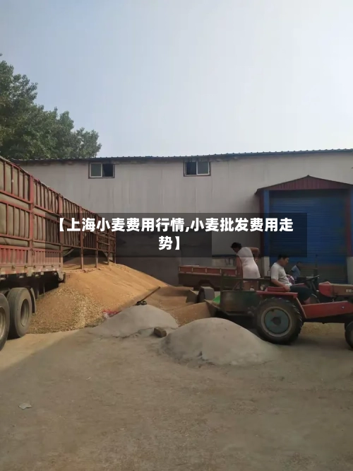 【上海小麦费用行情,小麦批发费用走势】