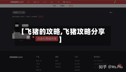 【飞猪的攻略,飞猪攻略分享】