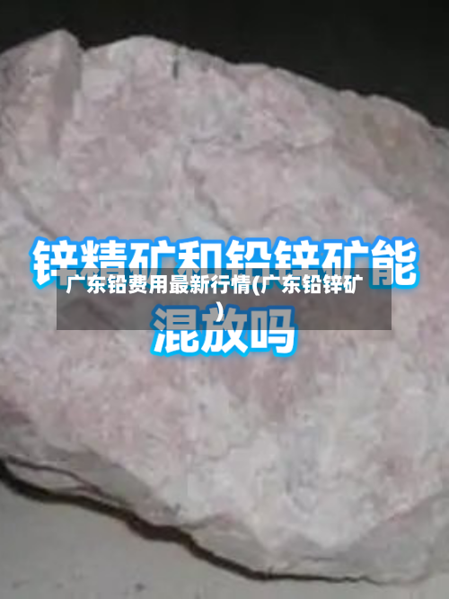 广东铅费用最新行情(广东铅锌矿)-第2张图片