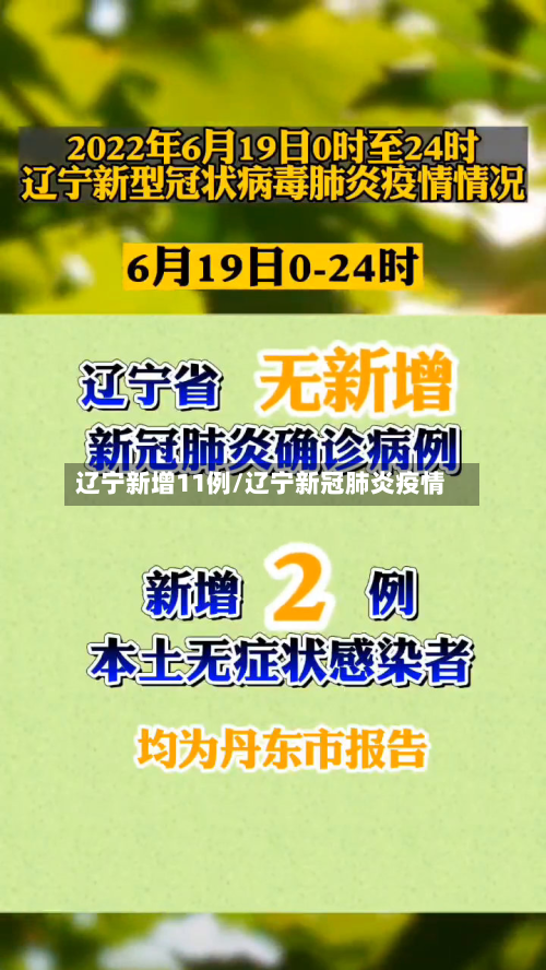 辽宁新增11例/辽宁新冠肺炎疫情-第2张图片