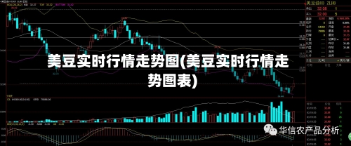 美豆实时行情走势图(美豆实时行情走势图表)