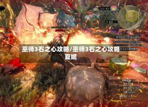 巫师3石之心攻略/巫师3石之心攻略夏妮