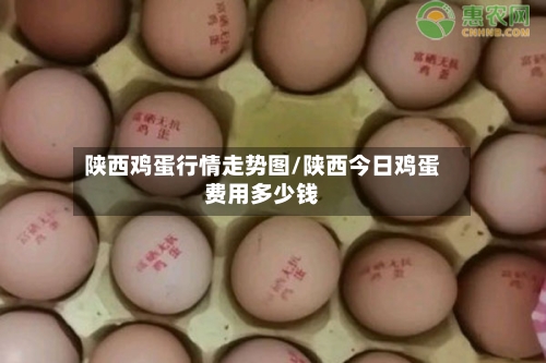 陕西鸡蛋行情走势图/陕西今日鸡蛋费用多少钱-第3张图片