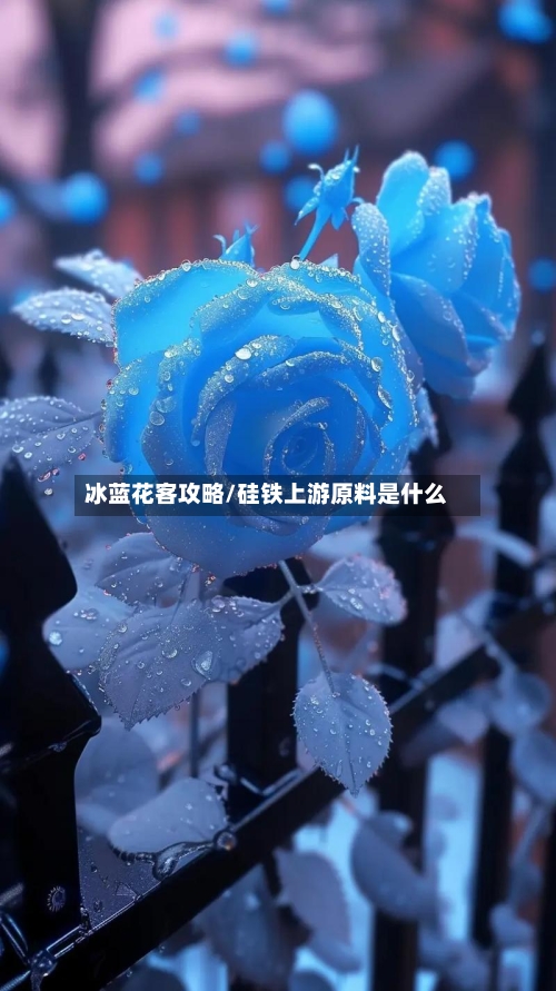 冰蓝花客攻略/硅铁上游原料是什么