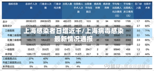 上海感染者日增近千/上海病毒感染最新情况通报-第3张图片