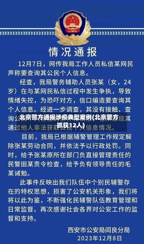 北京警方通报涉疫典型案例(北京警方抓获12人)