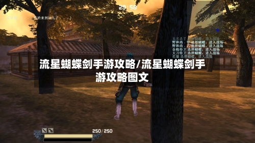 流星蝴蝶剑手游攻略/流星蝴蝶剑手游攻略图文-第2张图片