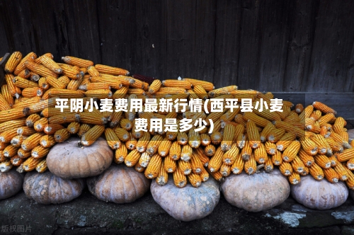 平阴小麦费用最新行情(西平县小麦费用是多少)-第3张图片