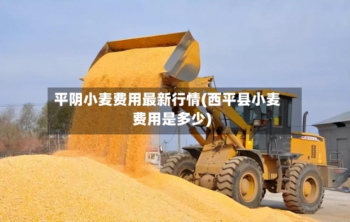 平阴小麦费用最新行情(西平县小麦费用是多少)-第2张图片