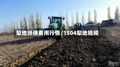 犁地师傅费用行情/1504犁地视频-第2张图片
