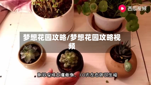 梦想花园攻略/梦想花园攻略视频-第2张图片