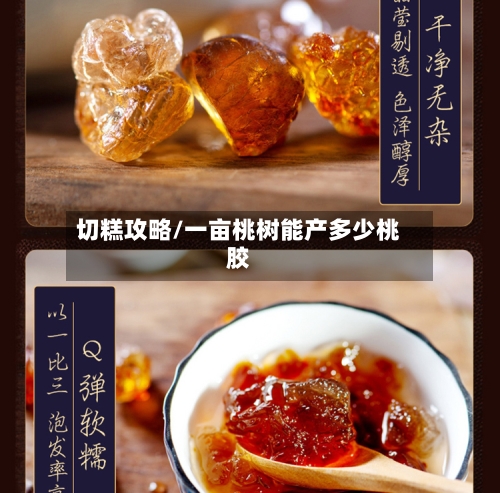 切糕攻略/一亩桃树能产多少桃胶-第2张图片