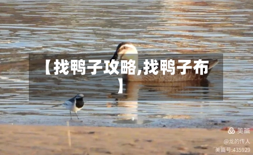 【找鸭子攻略,找鸭子布】