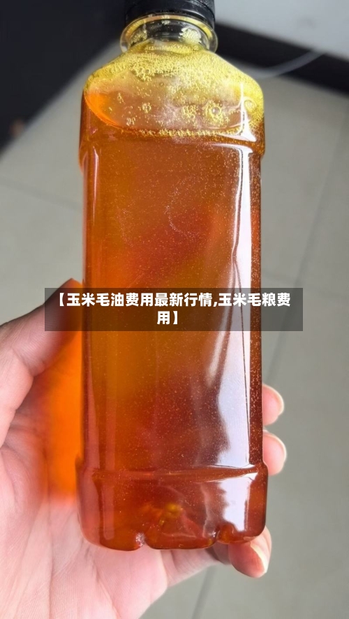 【玉米毛油费用最新行情,玉米毛粮费用】