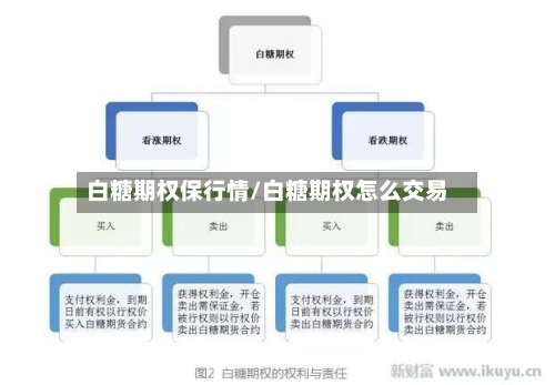 白糖期权保行情/白糖期权怎么交易-第2张图片
