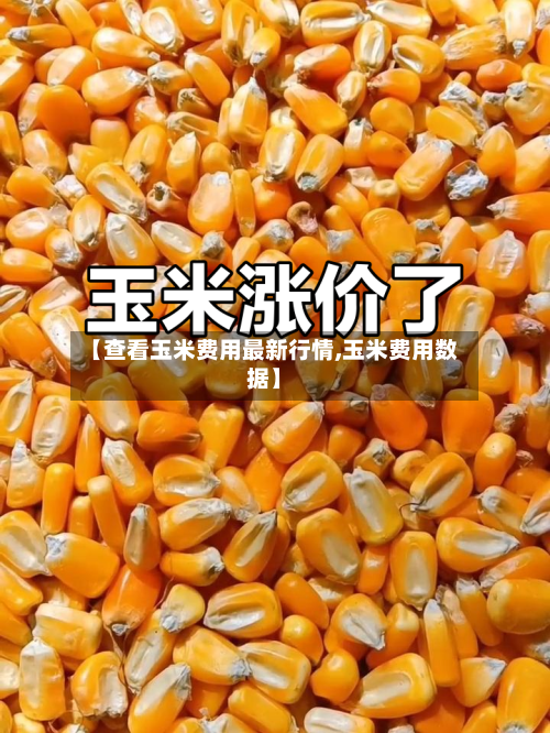 【查看玉米费用最新行情,玉米费用数据】