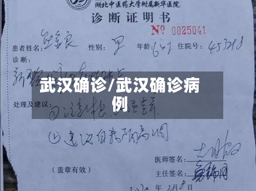 武汉确诊/武汉确诊病例
