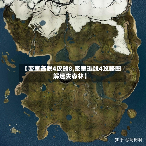 【密室逃脱4攻略8,密室逃脱4攻略图解迷失森林】