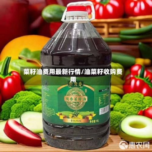 菜籽油费用最新行情/油菜籽收购费用-第3张图片