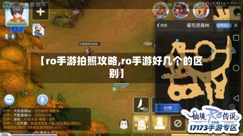 【ro手游拍照攻略,ro手游好几个的区别】