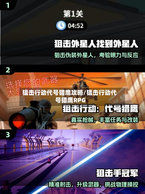 狙击行动代号猎鹰攻略/狙击行动代号猎鹰RPG
