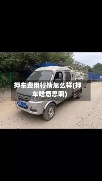 押车费用行情怎么样(押车啥意思啊)