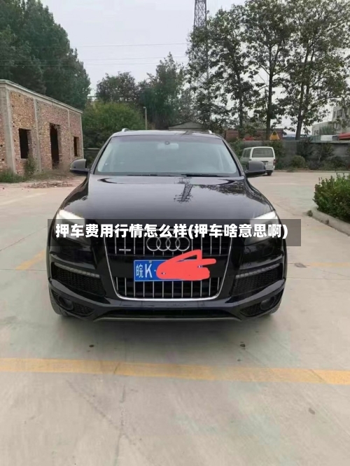 押车费用行情怎么样(押车啥意思啊)-第3张图片