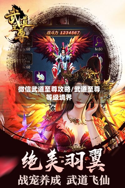 微信武道至尊攻略/武道至尊等级境界