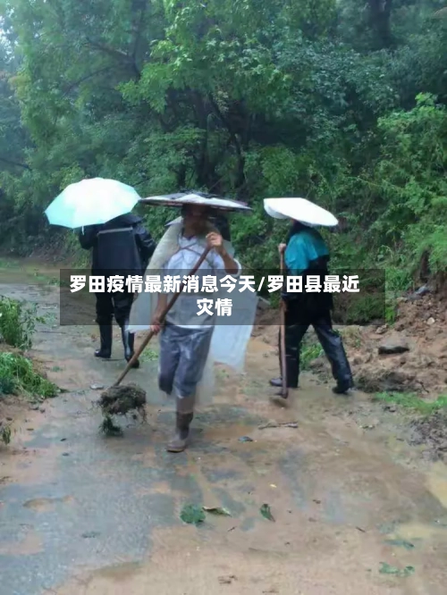 罗田疫情最新消息今天/罗田县最近灾情-第3张图片