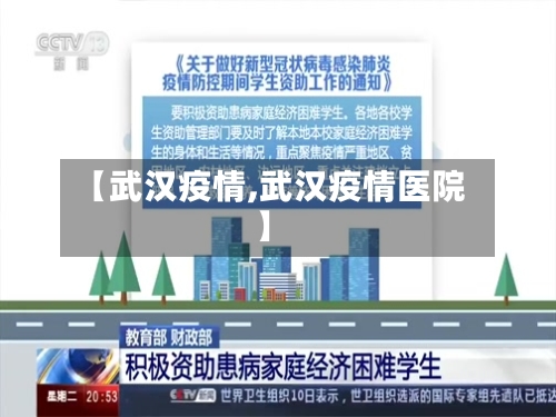 【武汉疫情,武汉疫情医院】-第3张图片