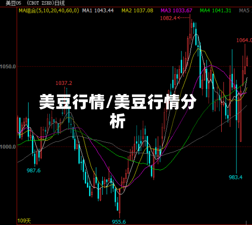 美豆行情/美豆行情分析