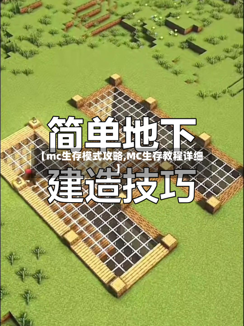 【mc生存模式攻略,MC生存教程详细】-第2张图片