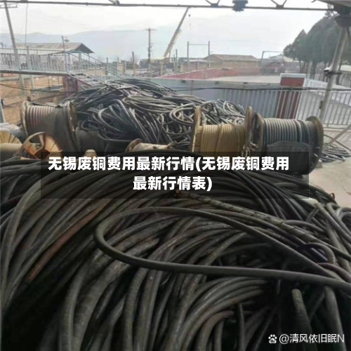 无锡废铜费用最新行情(无锡废铜费用最新行情表)