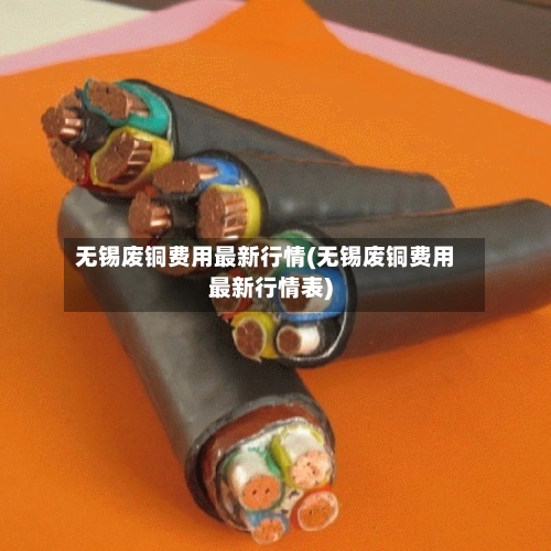 无锡废铜费用最新行情(无锡废铜费用最新行情表)-第2张图片