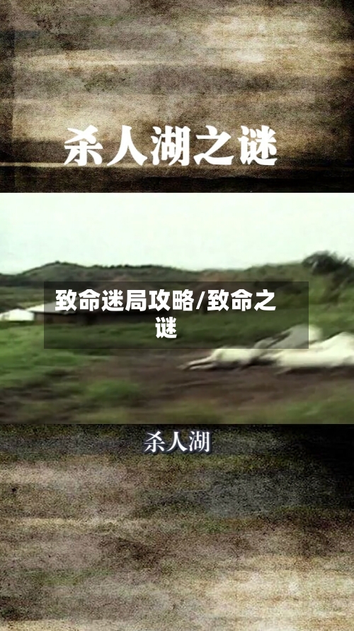 致命迷局攻略/致命之谜