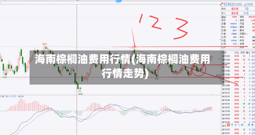 海南棕榈油费用行情(海南棕榈油费用行情走势)-第2张图片