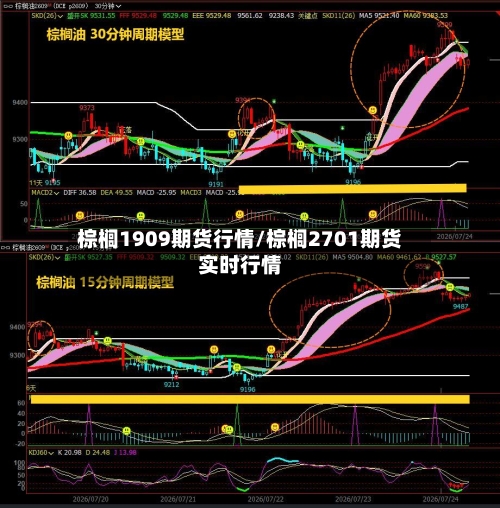 棕榈1909期货行情/棕榈2701期货实时行情-第3张图片