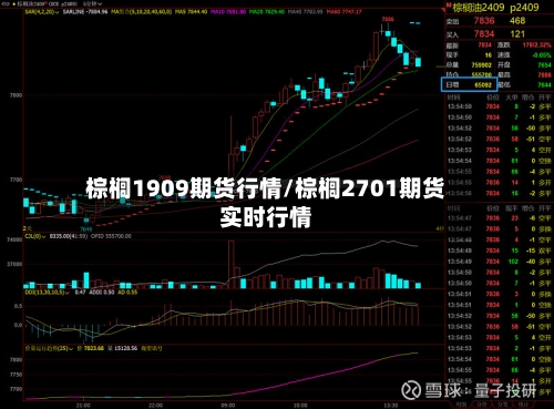 棕榈1909期货行情/棕榈2701期货实时行情
