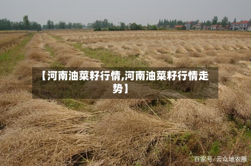 【河南油菜籽行情,河南油菜籽行情走势】