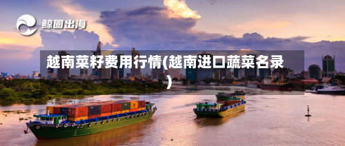 越南菜籽费用行情(越南进口蔬菜名录)-第2张图片