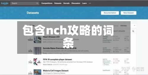 包含nch攻略的词条