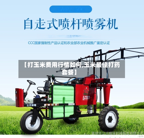 【打玉米费用行情如何,玉米最佳打药套餐】-第2张图片